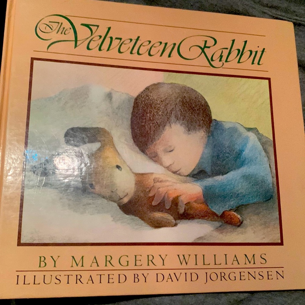 🚙📦💨 Hardcover Velveteen Rabbit Book